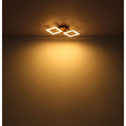 Globo - Lustra LED aplicată LED/30W/230V