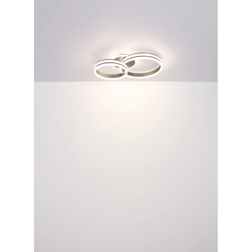 Globo - Plafonieră LED dimabilă LED/50W/230V 2700-6000K 50x75 cm + telecomandă