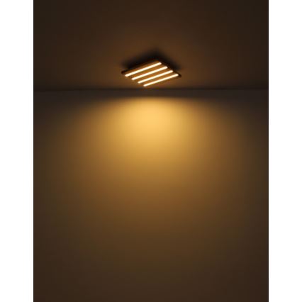 Globo - Plafonieră LED, 15 W, 230 V, 3000 K, 30 x 30 cm