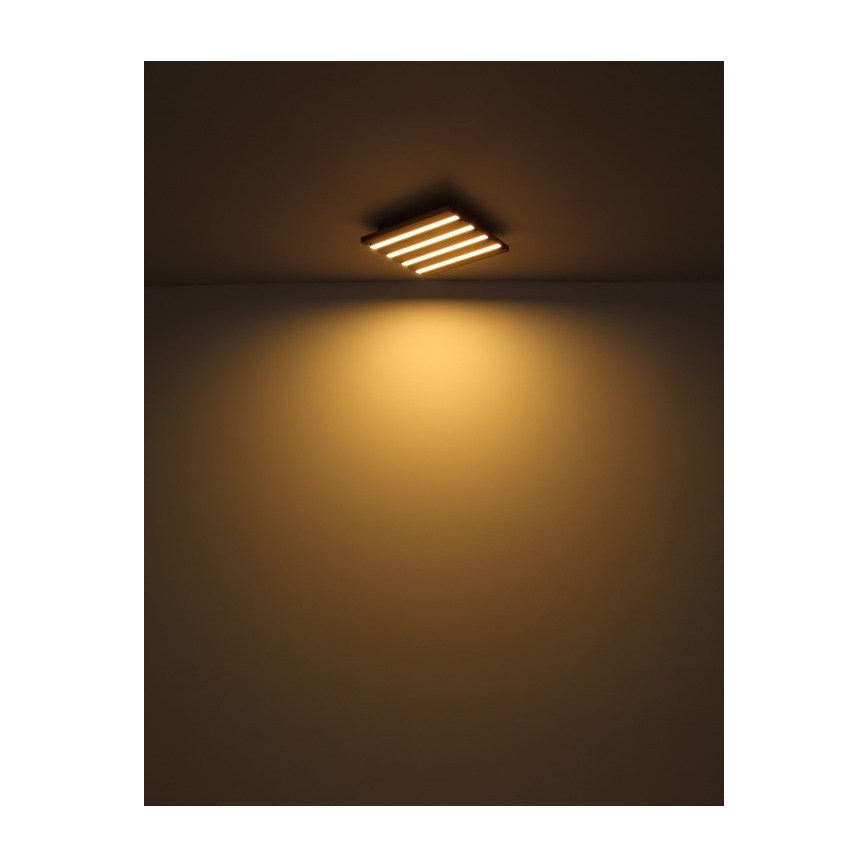 Globo - Plafonieră LED, 15 W, 230 V, 3000 K, 30 x 30 cm