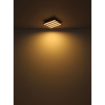Globo - Plafonieră LED 30 W, 230 V, 3000 K, 45 x 45 cm