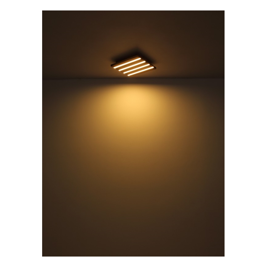 Globo - Plafonieră LED 30 W, 230 V, 3000 K, 45 x 45 cm