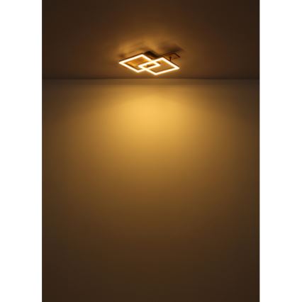 Globo - Plafonieră LED/16W/230V 3000K 33x44 cm