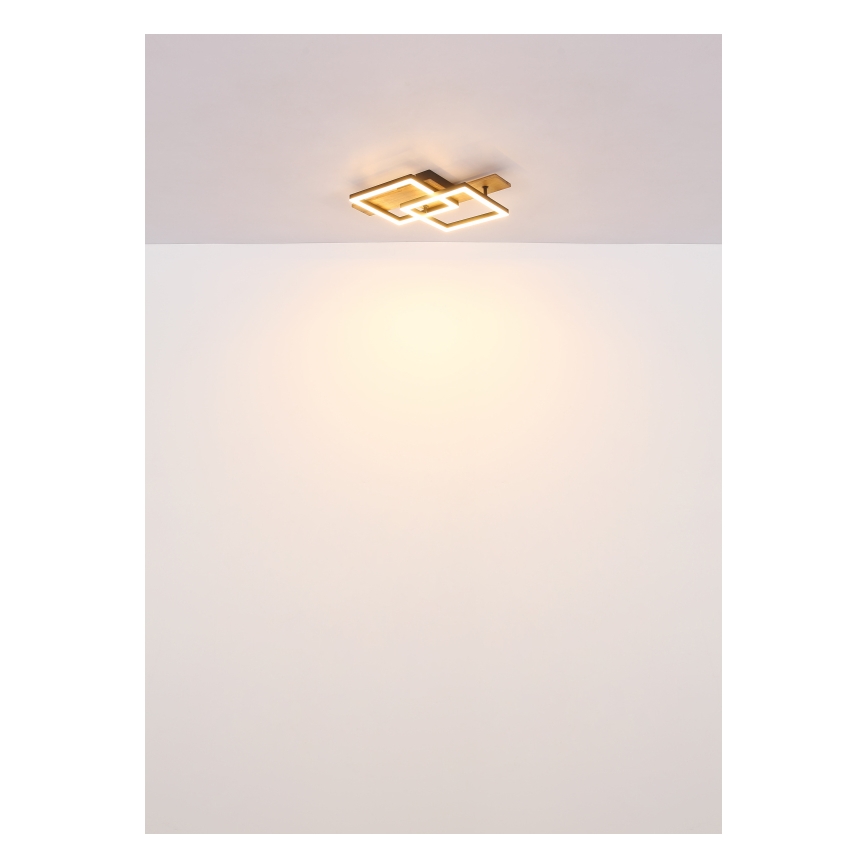 Globo - Plafonieră LED/16W/230V 3000K 33x44 cm