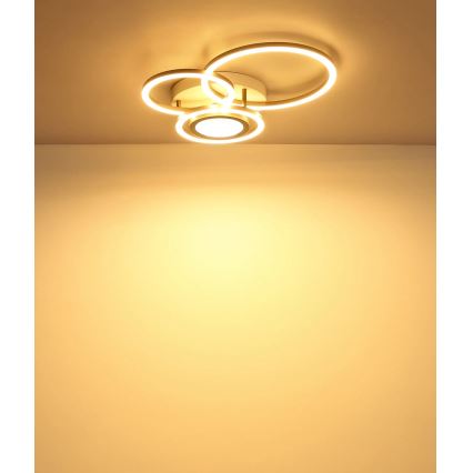 Globo - Plafonieră LED/40W/230V 3000K 49x39 cm