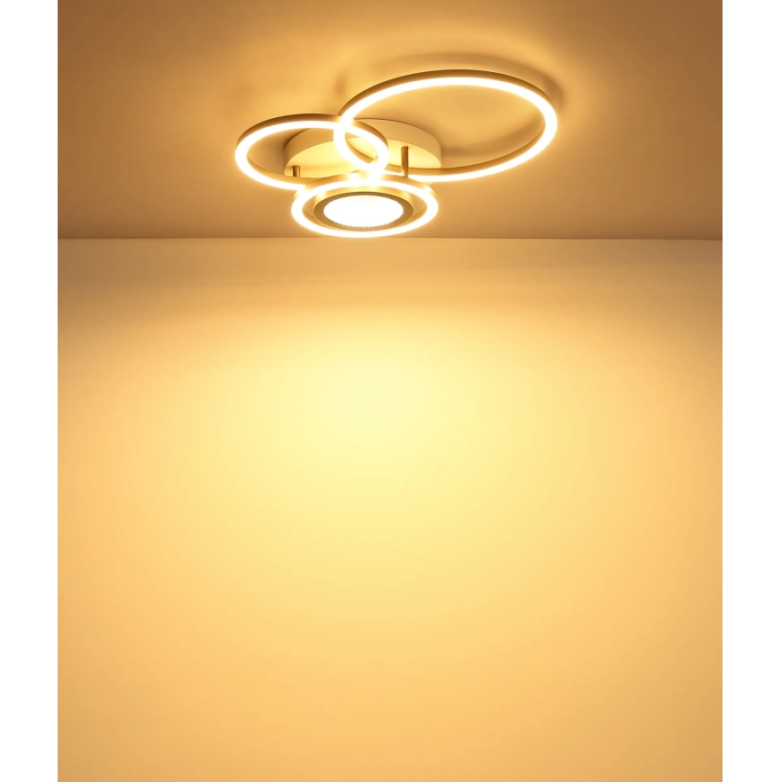 Globo - Plafonieră LED/40W/230V 3000K 49x39 cm