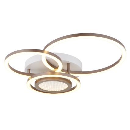 Globo - Plafonieră LED/40W/230V 3000K 49x39 cm