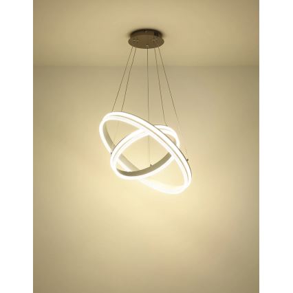 Globo - Corp de iluminat LED dimabil suspendat pe cablu LED/60W/230V 2700-6000K + telecomandă
