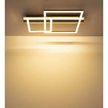 Globo - Plafonieră LED/30W/230V 3000K 33x56 cm