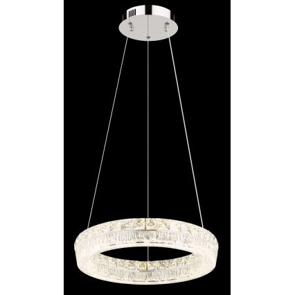 Globo - Lustră LED reglabilă suspendată pe cablu LED/24W/230V 2700-6000K transparentă + telecomandă