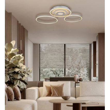 Globo - Plafonieră LED dimabilă LED/40W/230V 2700-6500K 57x99,2 cm argintie + telecomandă