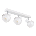 Globo - Corp de iluminat cu spoturi 3xE14/40W/230V alb