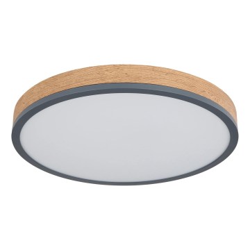 Globo - Corp de iluminat de tavan LED cu funcție de dimare/24W/230V 3000-6500K diam. 45 cm