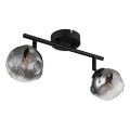 Globo - Corp de iluminat tip spot 2xG9/5W/230V