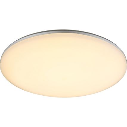 GLOBO 32118-24 - Plafonieră LED exterior DORI 1xLED/24W/230V
