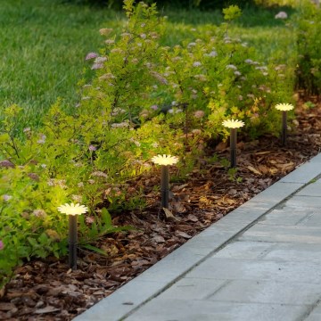 Globo - Ghirlandă solară LED 5xLED/3V IP44 300 mAh 2,2 m flori