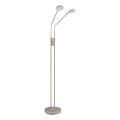 Globo - Lampă de podea LED reglabilă 2xLED/6,5W/230V 2700/3350/4000K bej