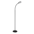 Globo - Lampă de podea tactilă LED dimabilă LED/8W/230V 2700K/4000K/6500K neagră
