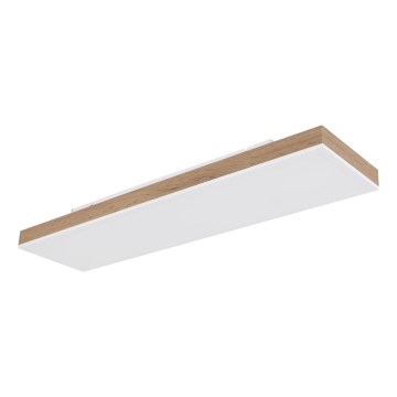 Globo - Lampă LED dimabilă de tavan LED/24W/230V 2700-6500K 20x80 cm + telecomandă