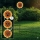 Globo - Lampă solară LED în formă de floare, 200 LED/3V, IP44, 600 mAh