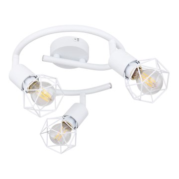 Globo - Lampă spot 3xE14/40W/230V