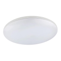 Globo - LED plafonieră pentru exterior LED/24W/230V IP54