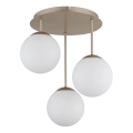 Globo - Lustră aplicată 3xE14/25W/230V alamă