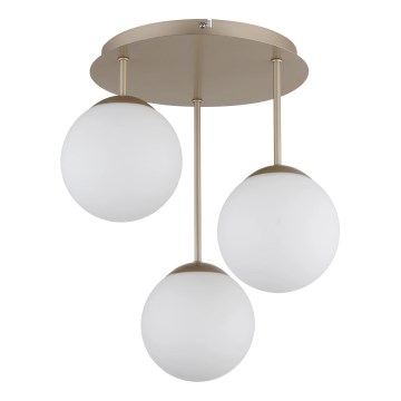 Globo - Lustră aplicată 3xE14/25W/230V alamă