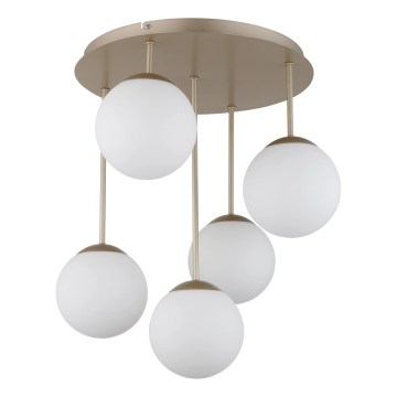 Globo - Lustru aplicat 5xE14/25W/230V alamă
