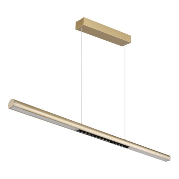 Globo - Lustru LED suspendat pe cablu LED/24W/230V 3000K