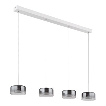 Globo - Lustru LED suspendat pe cablu LED/24W/230V alb/fumuriu