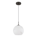 Globo - Lustru suspendat pe cablu, 1xE27/60W/230V, Ø 25 cm