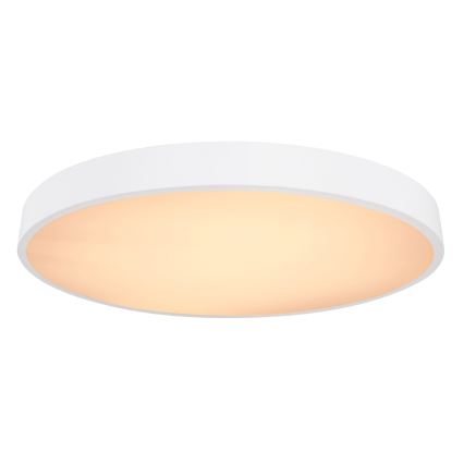 Globo - Plafonier LED reglabil intensitate LED/48W/230V 3000-6000K cu telecomandă