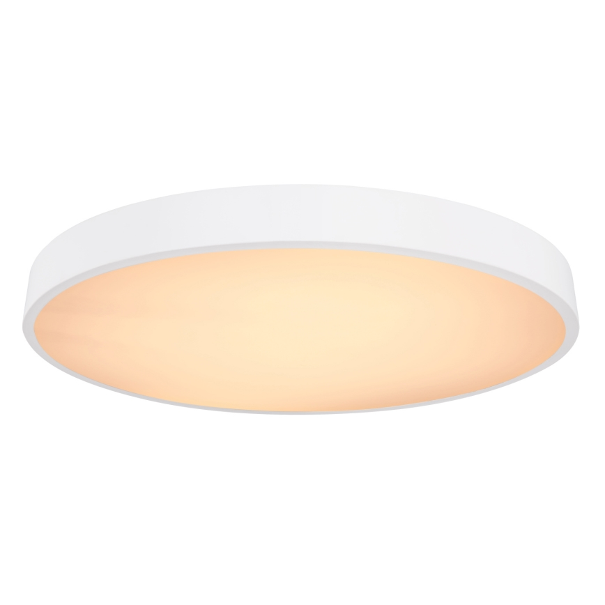 Globo - Plafonier LED reglabil intensitate LED/48W/230V 3000-6000K cu telecomandă