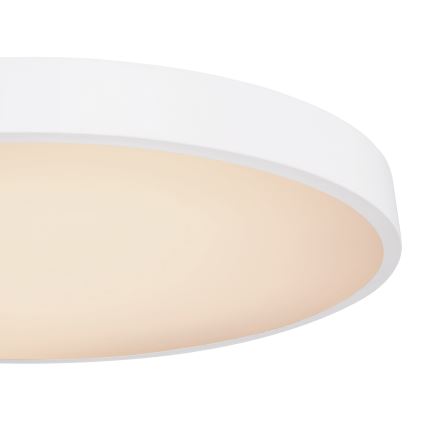 Globo - Plafonier LED reglabil intensitate LED/48W/230V 3000-6000K cu telecomandă