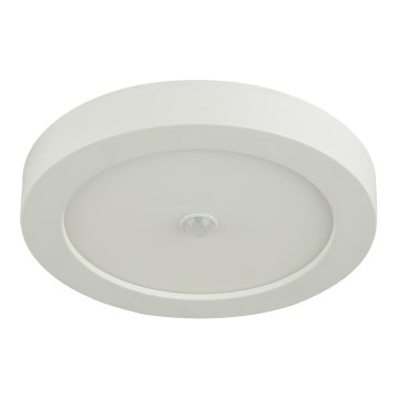 Globo - Plafonieră LED de exterior cu senzor LED/18W/230V IP44