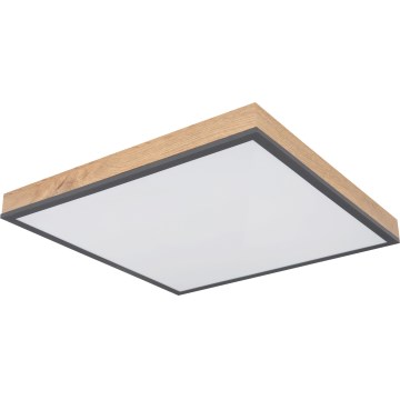 Globo - Plafonieră LED dimabilă LED/24W/230V 3000-6500K 45x45 cm