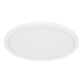 Globo - Plafonieră LED pentru baie Light LED/24W/230V IP44