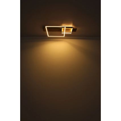 Globo 67289D1 - Plafonieră VANNI LED/24W/230V, 40x75 cm, maro/negru