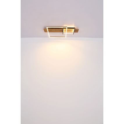 Globo 67289D1 - Plafonieră VANNI LED/24W/230V, 40x75 cm, maro/negru