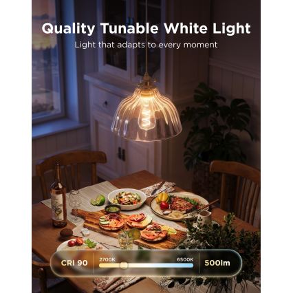 Govee - bec LED RGBWW reglabil Smart MATTER ST64 E27/5W/230V 2700-6500K Wi-Fi