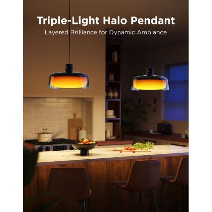 Govee - Lampă suspendată LED RGBICWW, reglabilă, cu cablu, LED/21W/230V, finisaj mat, Wi‑Fi