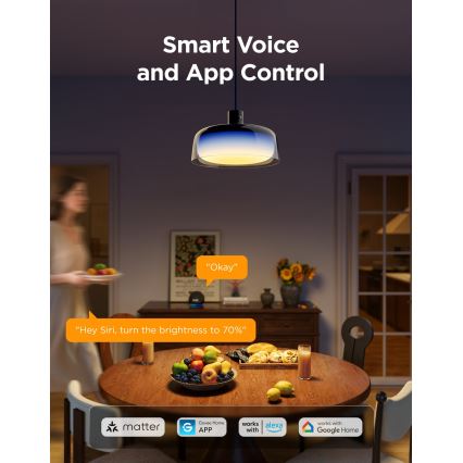 Govee - Lampă suspendată LED RGBICWW, reglabilă, cu cablu, LED/21W/230V, finisaj mat, Wi‑Fi