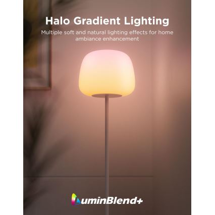 Govee - LED RGBICWW Lampă de podea dimabilă LANTERN MATTER LED/24W/230V Wi-Fi 160 cm