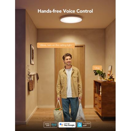 Govee - plafonieră LED RGBICWW dimmabilă, 29W/230V, diam. 30 cm, finisaj mat, Wi-Fi