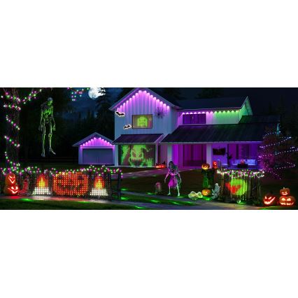 Govee - Plasă luminoasă LED RGBIC pentru exterior 143 x 85 cm Wi-Fi Matter IP65