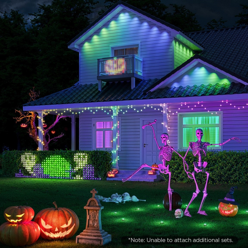 Govee - Plasă luminoasă LED RGBIC pentru exterior 143 x 85 cm Wi-Fi Matter IP65