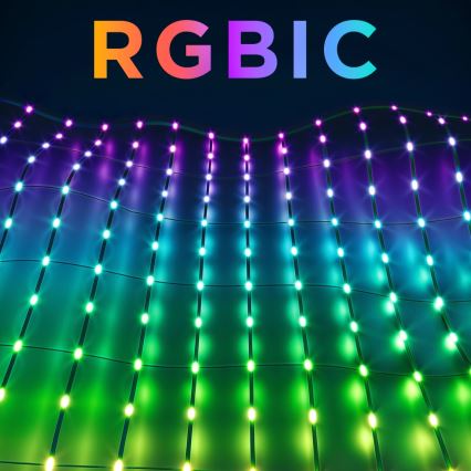 Govee - Plasă luminoasă LED RGBIC pentru exterior 143 x 85 cm Wi-Fi Matter IP65