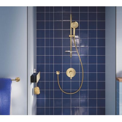 GROHE 134866GN00 - Set de duș VITALIO JOY+ 120 mm, finisaj auriu