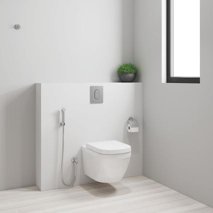 GROHE 26354000 - Duș de mână TEMPESTA-F 1250 mm crom lucios